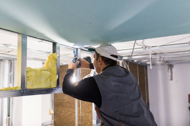 Best Insulation for Specific Applications in Ladd, IL