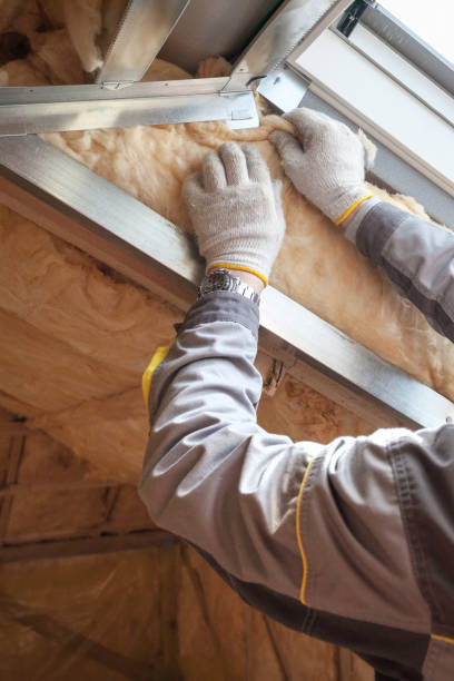 Best Residential Insulation in Ladd, IL