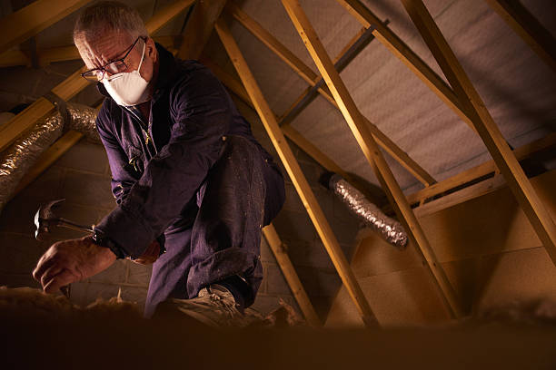 Best Insulation Installation Services in Ladd, IL