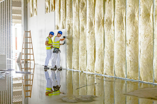 Best Commercial Insulation in Ladd, IL